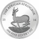 2014 1 Oz The African Springbok