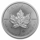 2024 1 Oz Canadian Maple Leaf