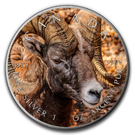 2016 1 Oz Bighorn Sheep Antique Maple Leaf 