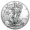 1 Oz American Silver Eagle (Random Year)