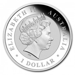 2013 1 Oz Australian Stock Horse
