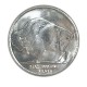 1 Oz Buffalo and Mercury Dime Silver Round